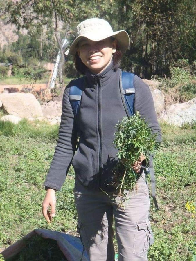 New Experiences Valle Sagrado Bed and Breakfast Urubamba Exteriör bild