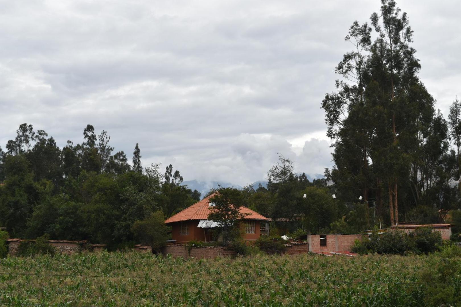New Experiences Valle Sagrado Bed and Breakfast Urubamba Exteriör bild
