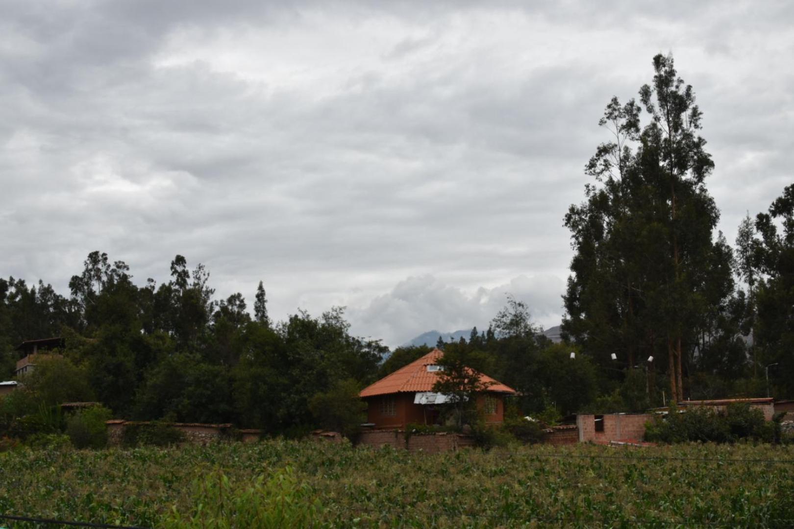 New Experiences Valle Sagrado Bed and Breakfast Urubamba Exteriör bild